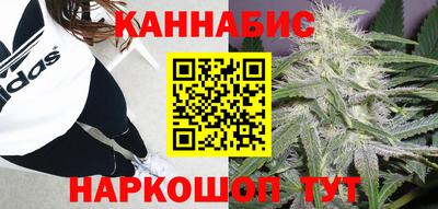 прущие грибы Гусь-Хрустальный
