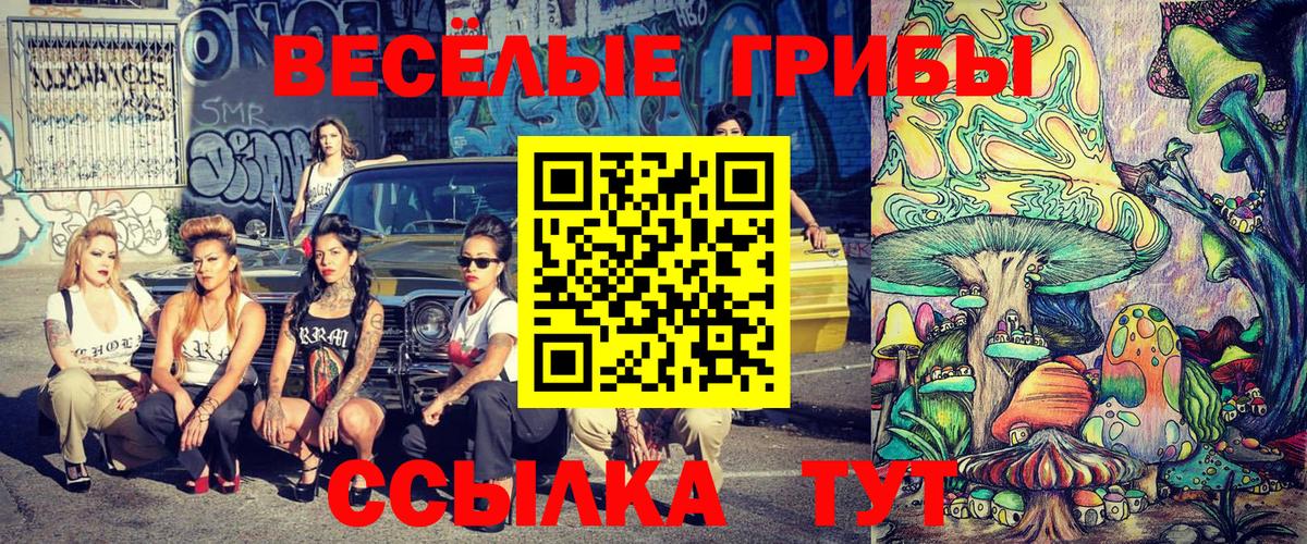 Галлюциногенные грибы ЛСД  Вход с VPN  где купить наркоту  Галлюциногенные грибы GOLDEN TEACHER  Магнитогорск 