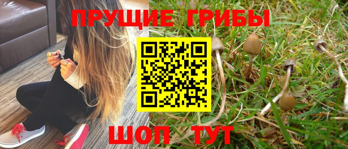 Каннабис  ТГК  MDMA  Вход с VPN  ГАШИШ  МЕФ кристаллы  Магнитогорск  Кокаин  Каннабис  МЕТАМФЕТАМИН 